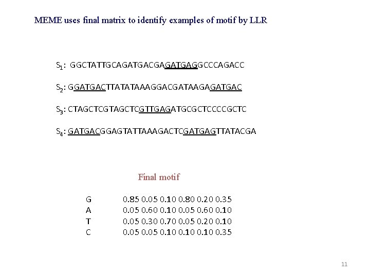 MEME uses final matrix to identify examples of motif by LLR S 1: GGCTATTGCAGATGACGAGATGAGGCCCAGACC
