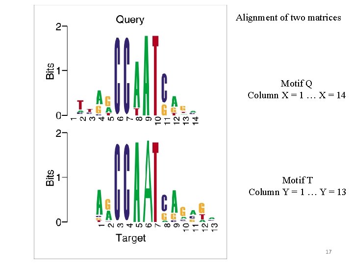 Alignment of two matrices Motif Q Column X = 1 … X = 14