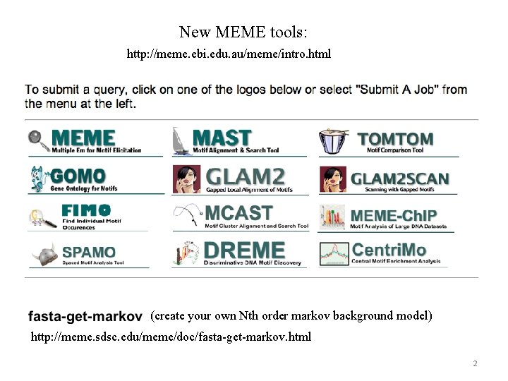 New MEME tools: http: //meme. ebi. edu. au/meme/intro. html (create your own Nth order