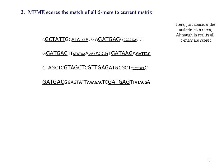 2. MEME scores the match of all 6 -mers to current matrix G GCTATTGCATATGACGAGATGAGGCCCAGACC