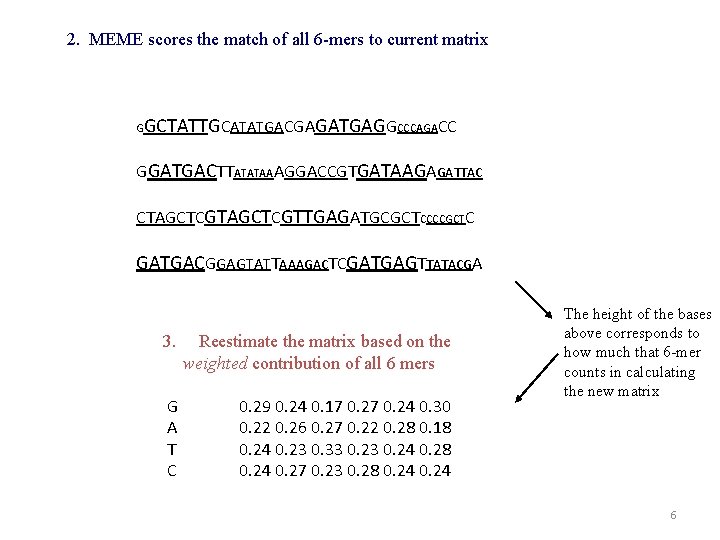 2. MEME scores the match of all 6 -mers to current matrix G GCTATTGCATATGACGAGATGAGGCCCAGACC