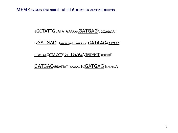 MEME scores the match of all 6 -mers to current matrix G GCTATTGCATATGACGAGATGAGGCCCAGACC GGATGACTTATATAAAGGACCGTGATAAGAGATTAC