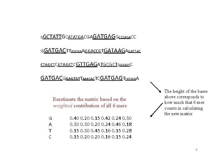 G GCTATTGCATATGACGAGATGAGGCCCAGACC GGATGACTTATATAAAGGACCGTGATAAGAGATTAC CTAGCTCGTTGAGATGCGCTCCCCGCTC GATGACGGAGTATTAAAGACTCGATGAGTTATACGA Reestimate the matrix based on the weighted contribution of