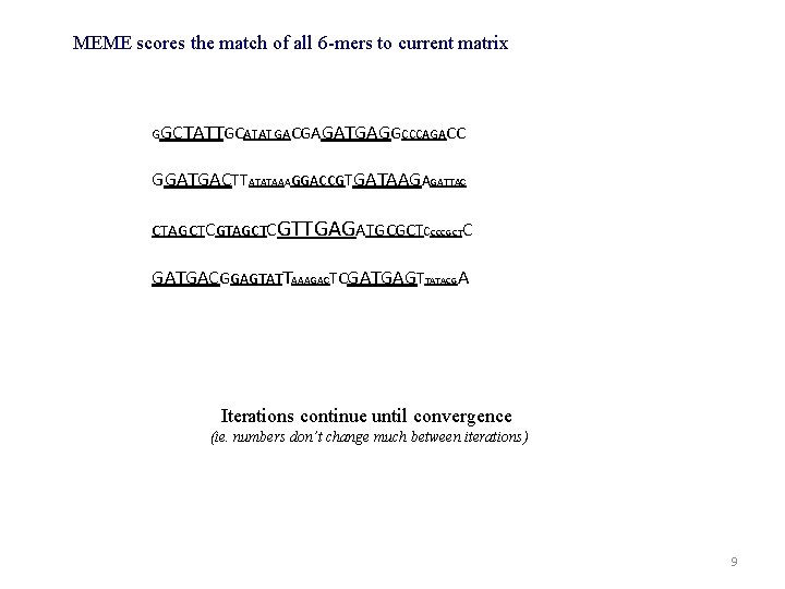 MEME scores the match of all 6 -mers to current matrix GGCTATTGCATATGACGAGATGAGGCCCAGACC GGATGACTTATATAAAGGACCGTGATAAGAGATTAC CTAGCTCGTTGAGATGCGCTCCCCGCTC