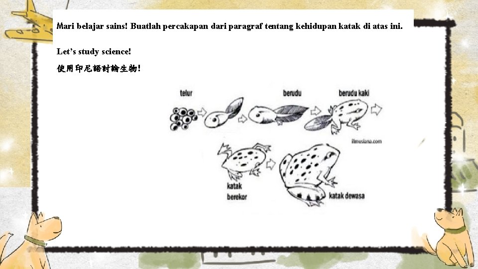 Mari belajar sains! Buatlah percakapan dari paragraf tentang kehidupan katak di atas ini. Let’s