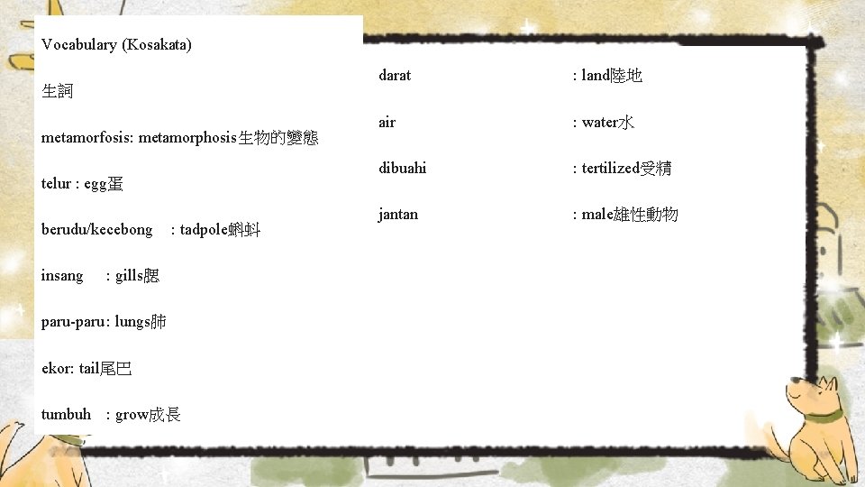 Vocabulary (Kosakata) 生詞 metamorfosis: metamorphosis生物的變態 telur : egg蛋 berudu/kecebong insang : tadpole蝌蚪 : gills腮