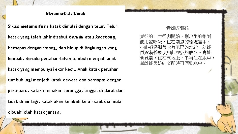 Metamorfosis Katak Siklus metamorfosis katak dimulai dengan telur. Telur 青蛙的變態 katak yang telah lahir