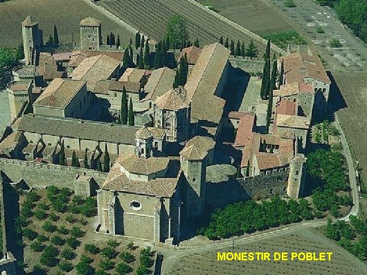 MONESTIR DE POBLET 