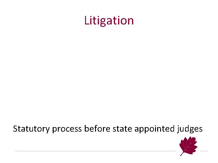 Litigation Statutory process before state appointed judges 