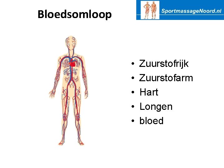 Fysiology Anatomie Jan Douma Fysiologie Welke systemen zitten
