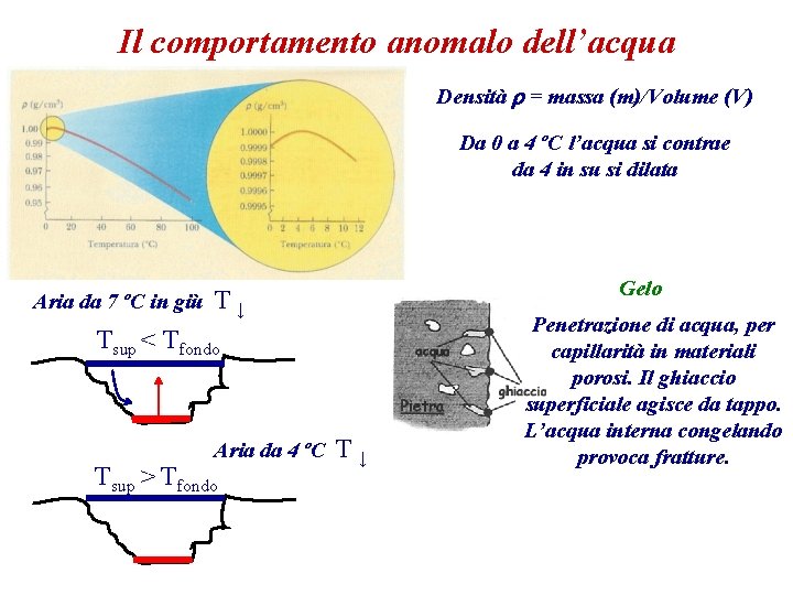 Il comportamento anomalo dell’acqua Densità r = massa (m)/Volume (V) Da 0 a 4