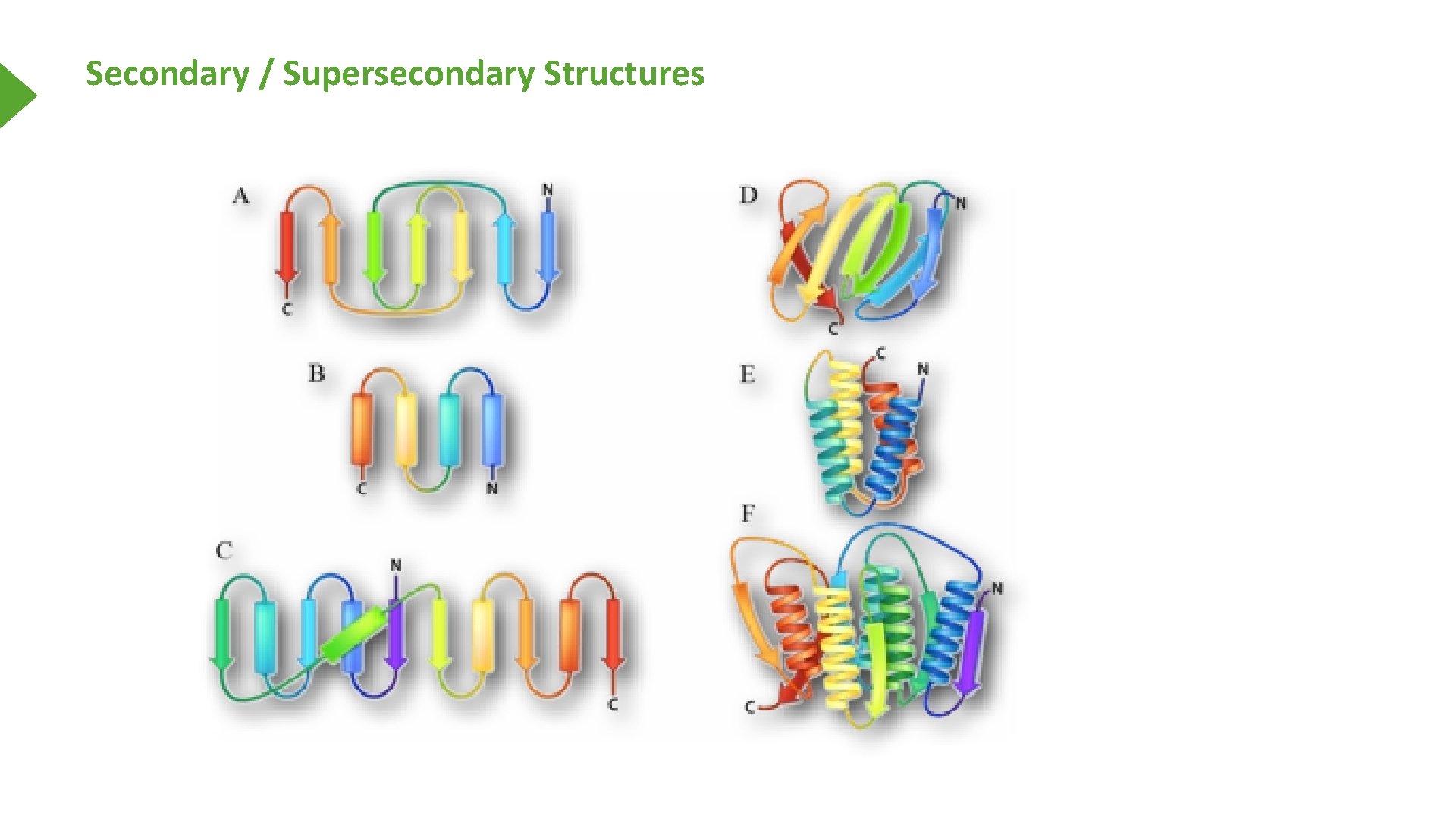Secondary / Supersecondary Structures 