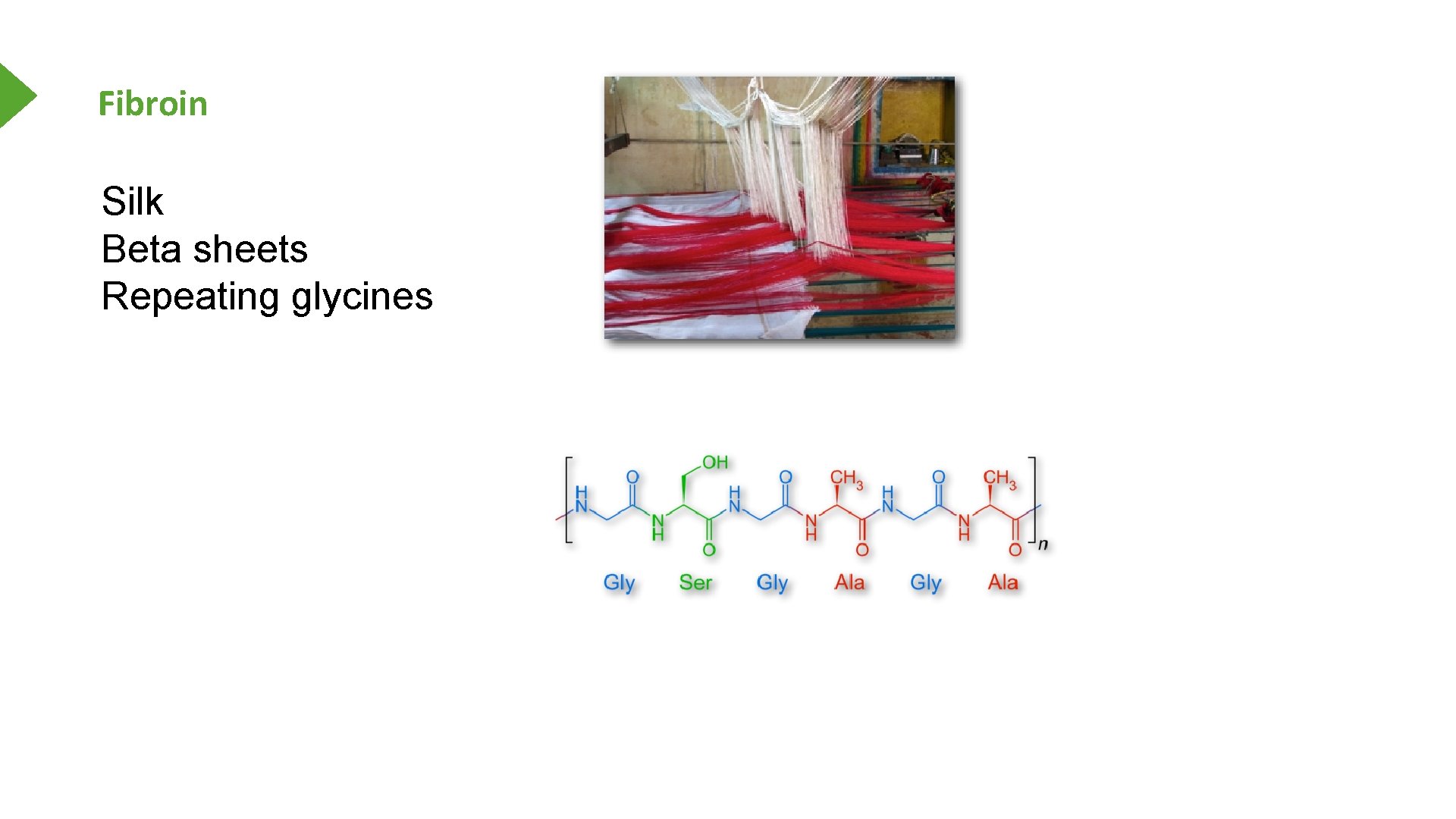 Fibroin Silk Beta sheets Repeating glycines 