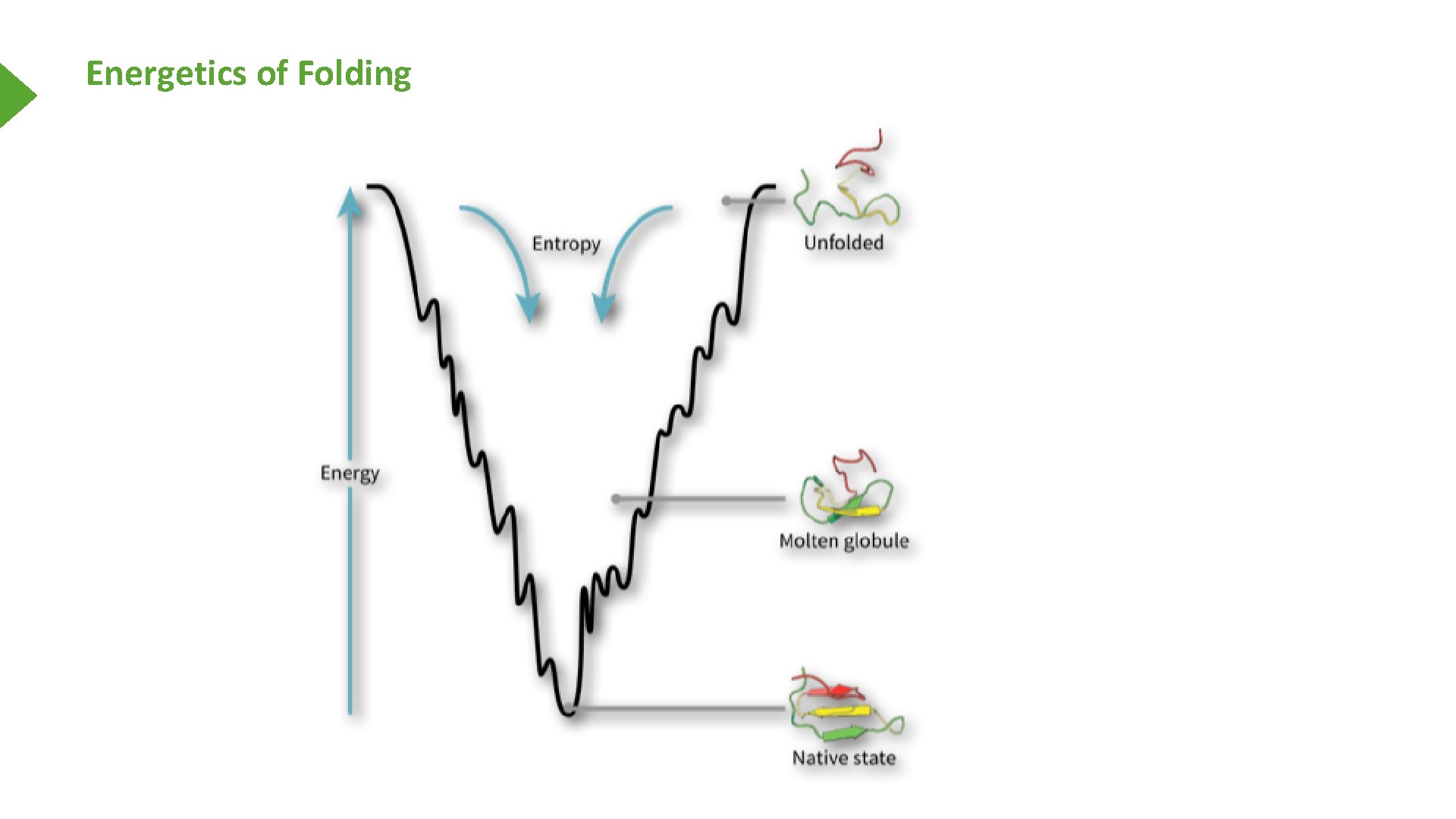 Energetics of Folding 