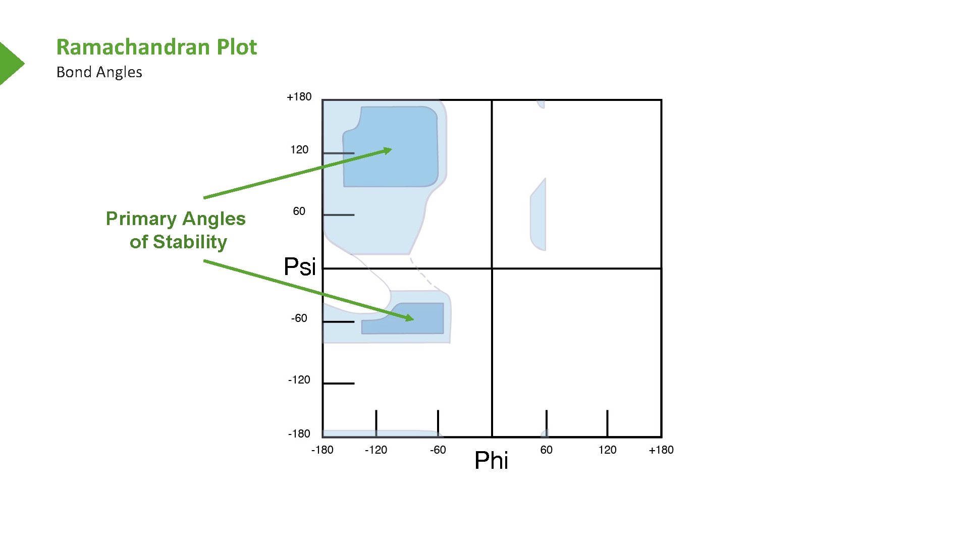 Ramachandran Plot Bond Angles Primary Angles of Stability 