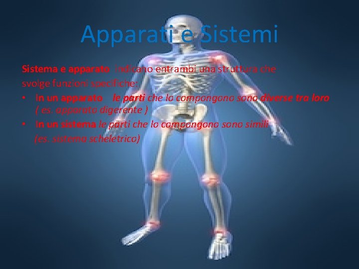 Apparati e Sistemi Sistema e apparato indicano entrambi una struttura che svolge funzioni specifiche: