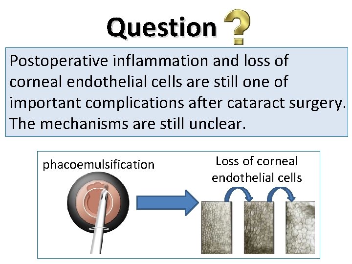 Question Postoperative inflammation and loss of corneal endothelial cells are still one of important