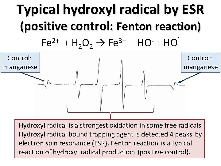 Typical hydroxyl radical by ESR (positive control: Fenton reaction) Fe 2+ Control: manganese .