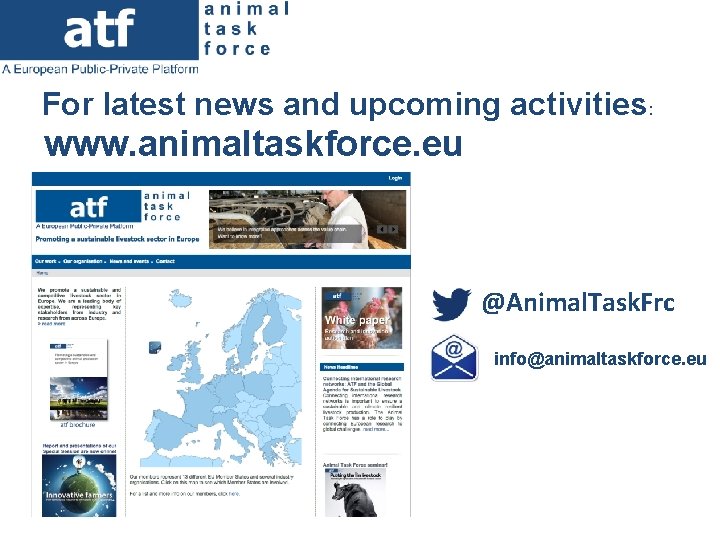 For latest news and upcoming activities: www. animaltaskforce. eu @Animal. Task. Frc info@animaltaskforce. eu