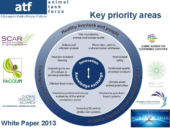 Key priority areas White Paper 2013 