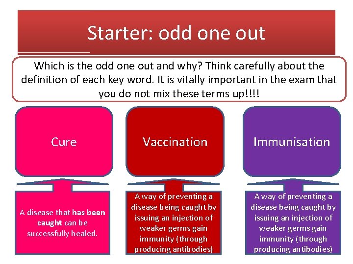 Starter: odd one out Which is the odd one out and why? Think carefully