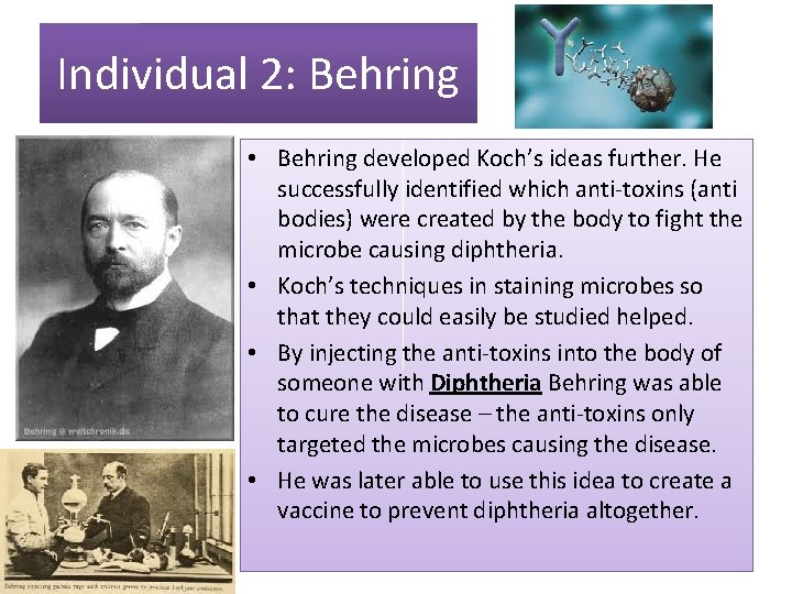 Individual 2: Behring • Behring developed Koch’s ideas further. He successfully identified which anti-toxins