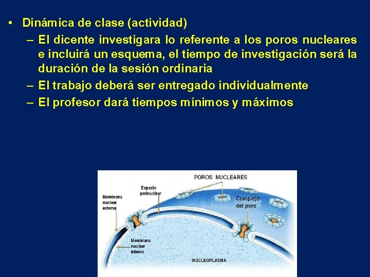  • Dinámica de clase (actividad) – El dicente investigara lo referente a los