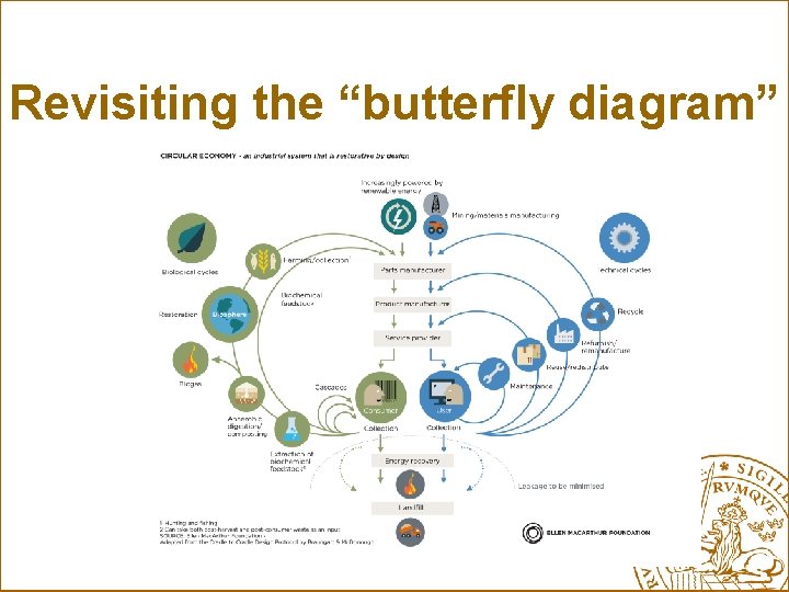 Revisiting the “butterfly diagram” 