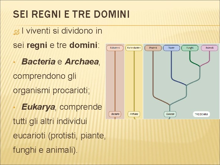 SEI REGNI E TRE DOMINI I viventi si dividono in sei regni e tre