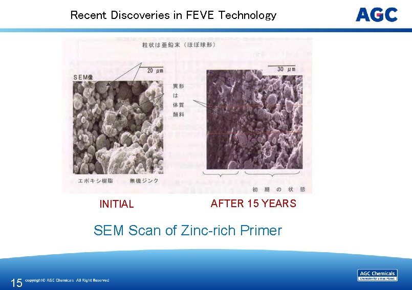 Recent Discoveries in FEVE Technology INITIAL AFTER 15 YEARS SEM Scan of Zinc-rich Primer