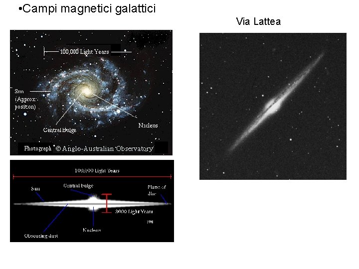  • Campi magnetici galattici Via Lattea 