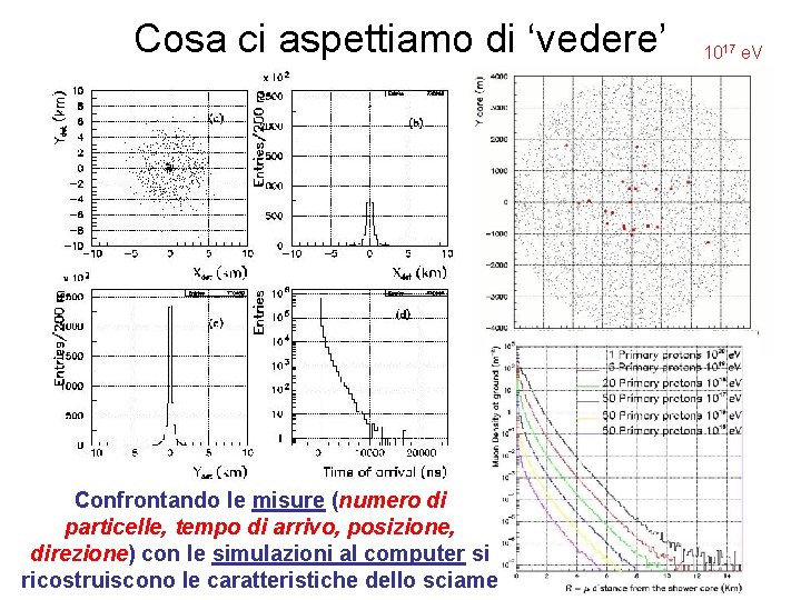 Cosa ci aspettiamo di ‘vedere’ Confrontando le misure (numero di particelle, tempo di arrivo,