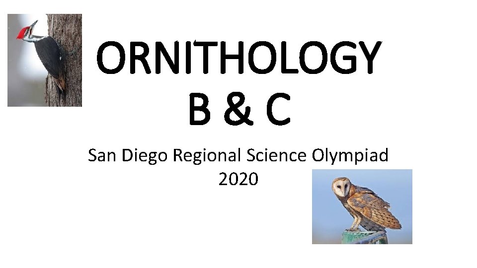 ORNITHOLOGY BC San Diego Regional Science Olympiad 2020