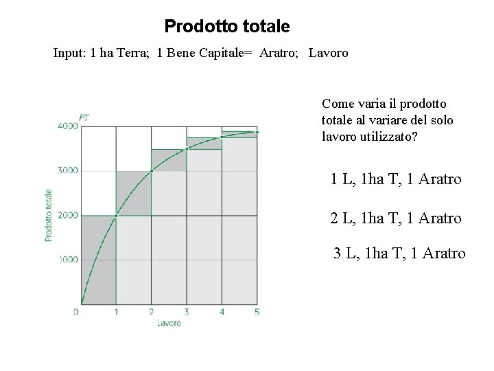 Prodotto totale Input: 1 ha Terra; 1 Bene Capitale= Aratro; Lavoro Come varia il