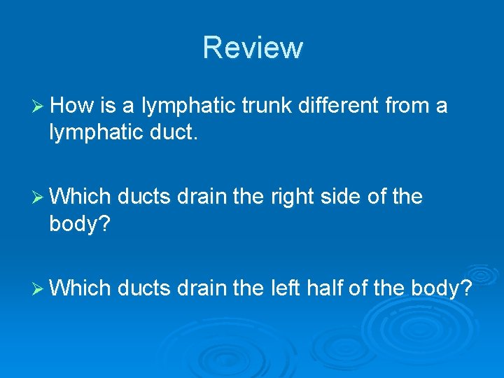 Review Ø How is a lymphatic trunk different from a lymphatic duct. Ø Which