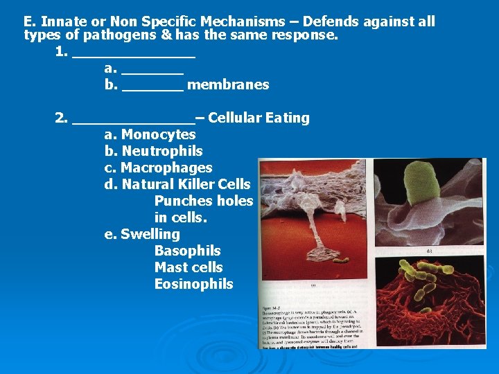 E. Innate or Non Specific Mechanisms – Defends against all types of pathogens &