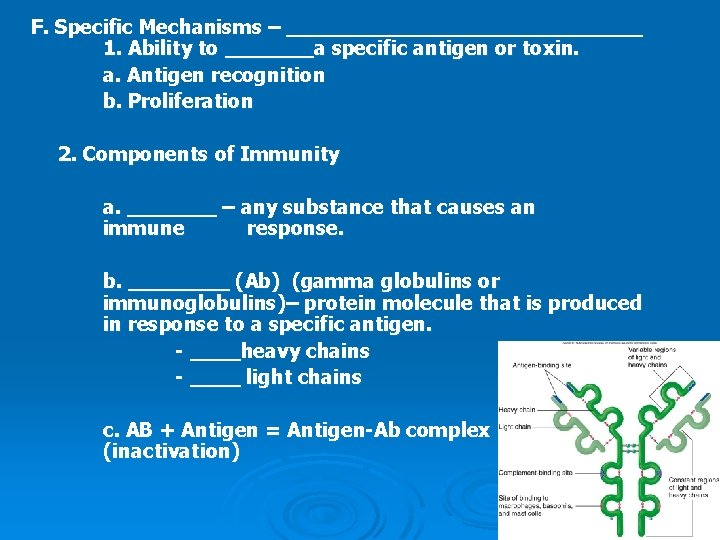 F. Specific Mechanisms – ______________ 1. Ability to _______a specific antigen or toxin. a.