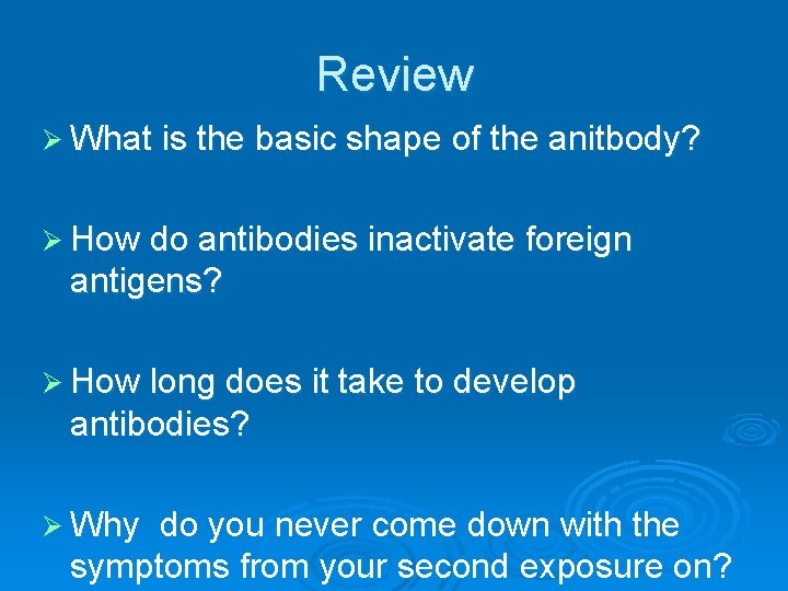 Review Ø What is the basic shape of the anitbody? Ø How do antibodies