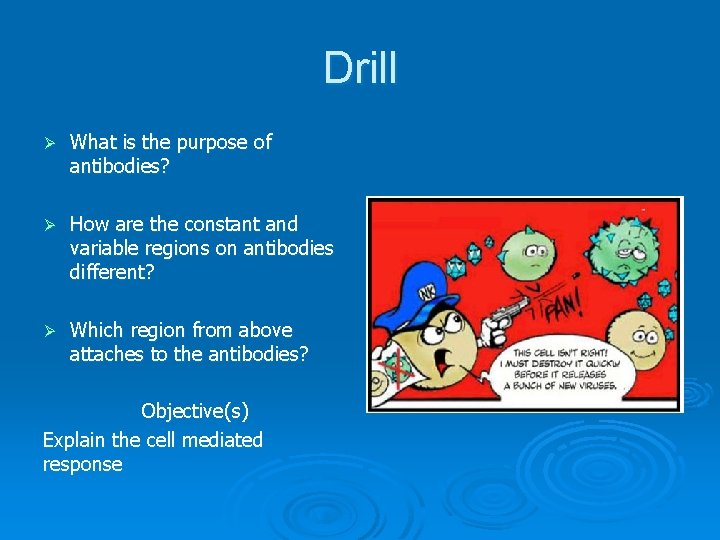 Drill Ø What is the purpose of antibodies? Ø How are the constant and