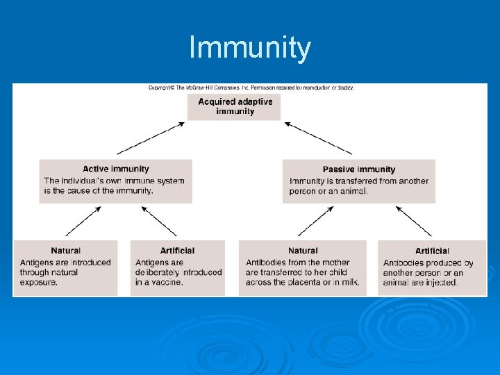 Immunity 