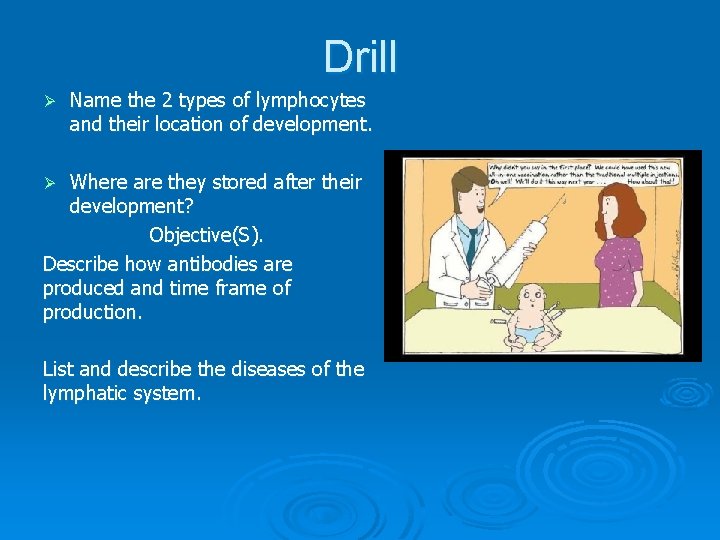 Drill Ø Name the 2 types of lymphocytes and their location of development. Where