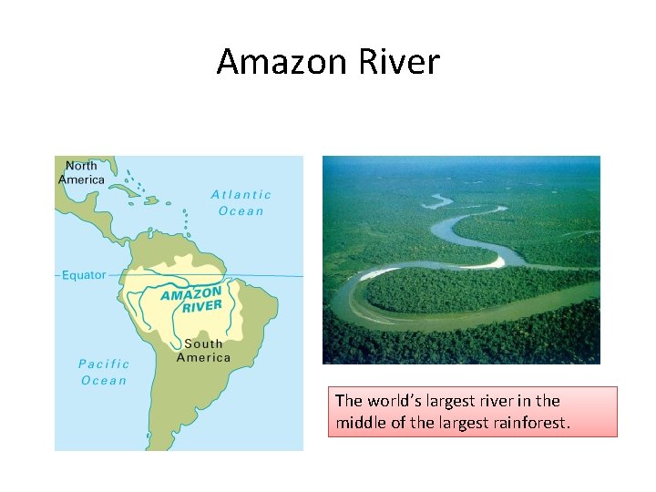 Amazon River The world’s largest river in the middle of the largest rainforest. 