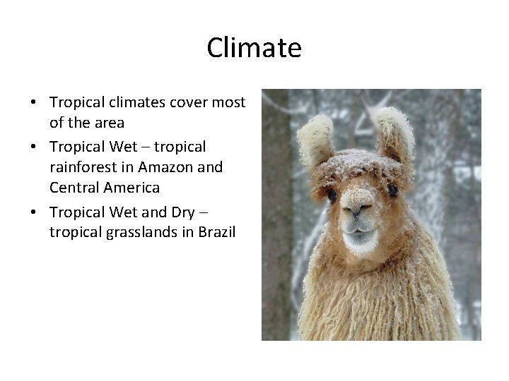 Climate • Tropical climates cover most of the area • Tropical Wet – tropical