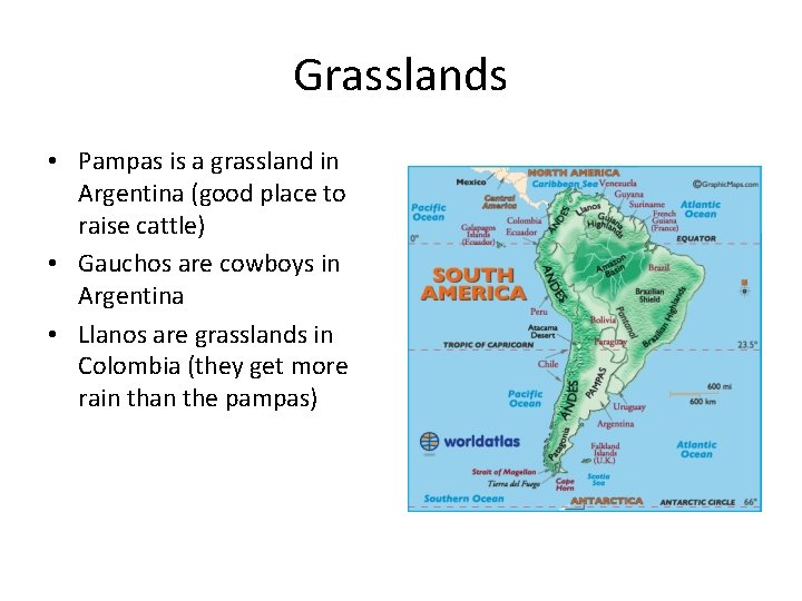 Grasslands • Pampas is a grassland in Argentina (good place to raise cattle) •