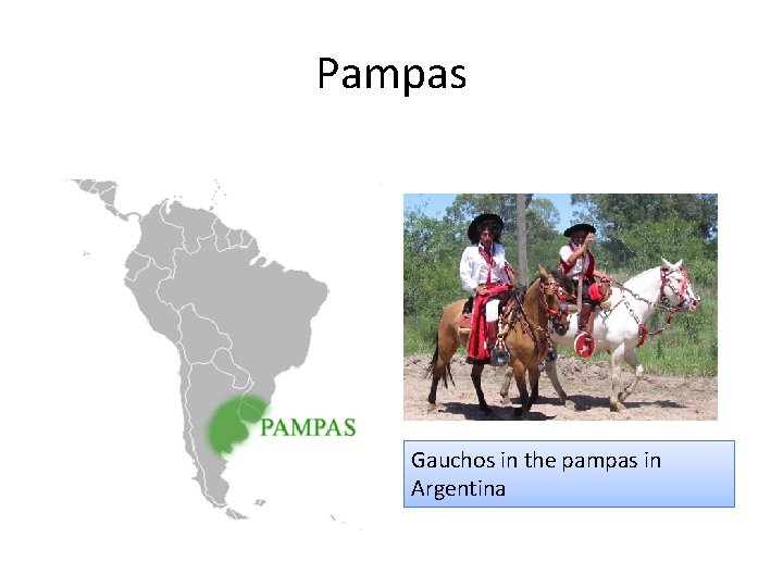 Pampas Gauchos in the pampas in Argentina 