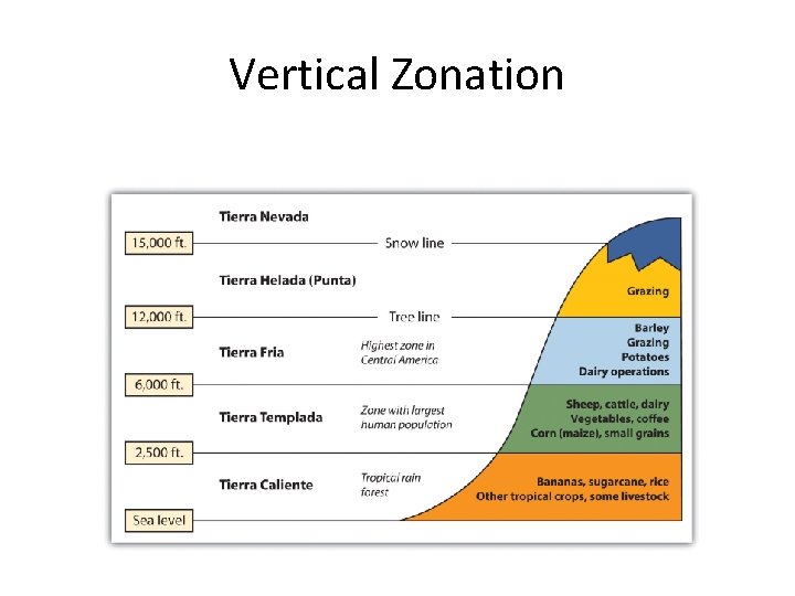 Vertical Zonation 