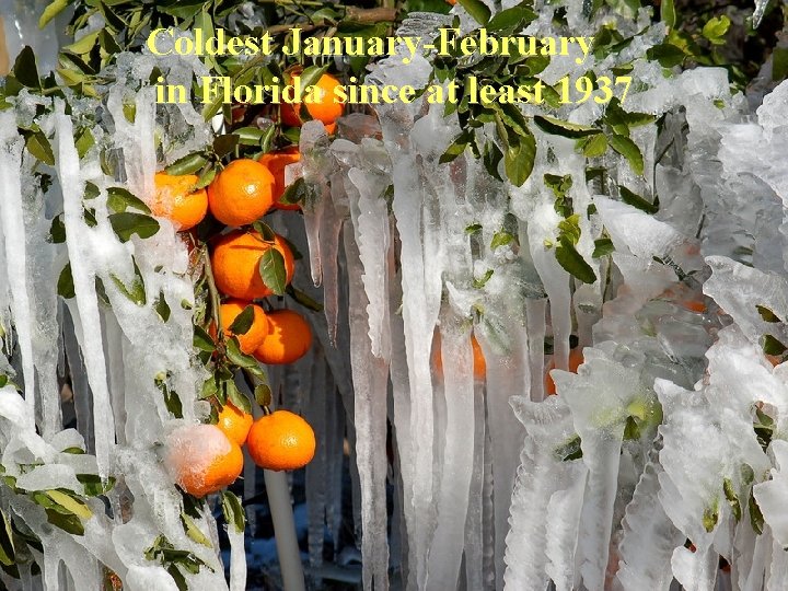 Coldest January-February in Florida since at least 1937 