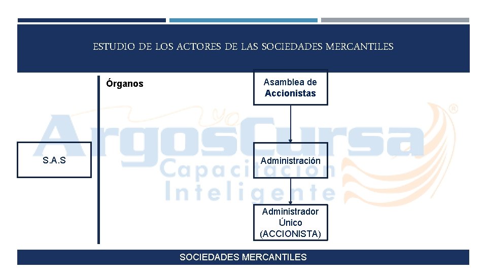 ESTUDIO DE LOS ACTORES DE LAS SOCIEDADES MERCANTILES Órganos S. A. S Asamblea de