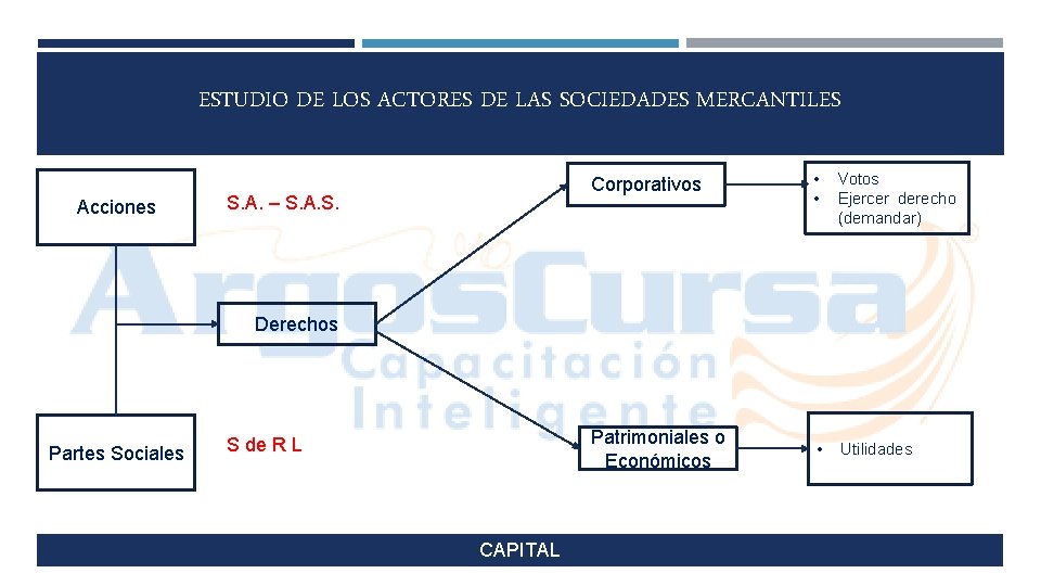 ESTUDIO DE LOS ACTORES DE LAS SOCIEDADES MERCANTILES Acciones S. A. – S. A.