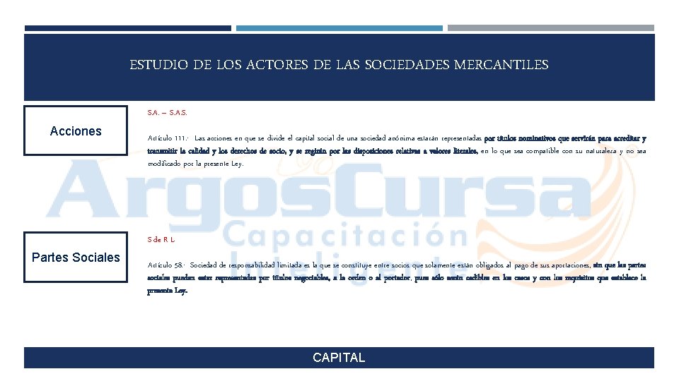 ESTUDIO DE LOS ACTORES DE LAS SOCIEDADES MERCANTILES S. A. – S. A. S.